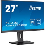 iiyama LED-skærm Sort (mat)