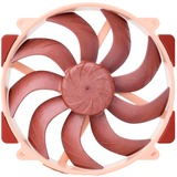 Noctua Sag fan 