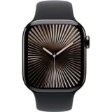 Apple SmartWatch Skifer