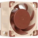 Noctua NF-A4X20 5V Computerkølesystem Computerkabinet Ventilator 4 cm Beige, Brun, Sag fan Ventilator, 4 cm, 5000 rpm, 14,9 dB, 9,4 m³/t, Beige, Brun