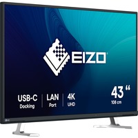 EIZO LED-skærm Sort