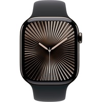 Apple SmartWatch Skifer