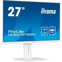 iiyama LED-skærm hvid (mat)